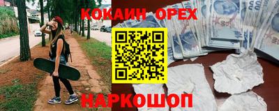 сатива Новокубанск
