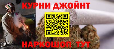сатива Новокубанск