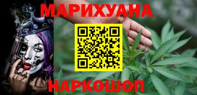 сатива Новокубанск