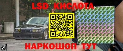 сатива Новокубанск