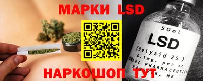 тгк Новодвинск