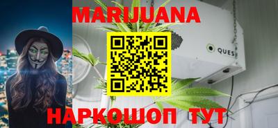тгк Новодвинск