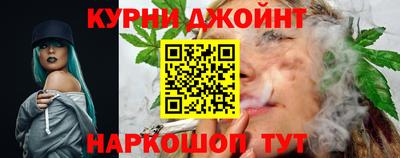 тгк Новодвинск