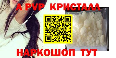 тгк Новодвинск